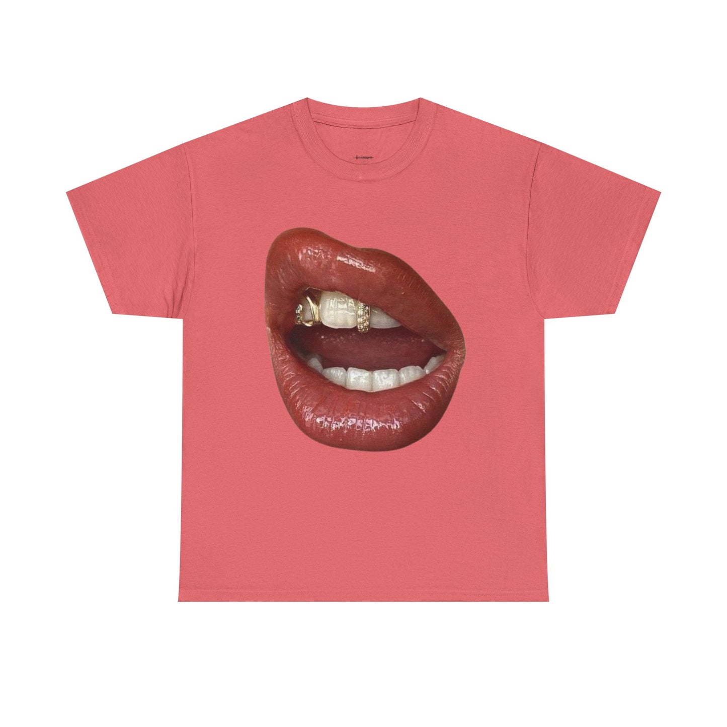 Pink Glossy Lips